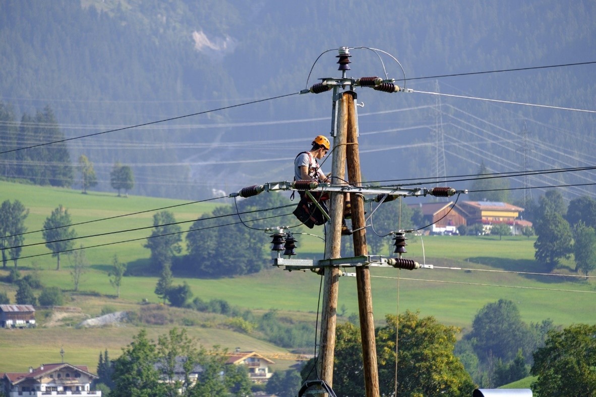 Distribution Line Inspection